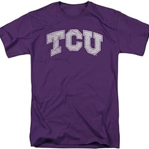Logovision Official Collegiate Distressed Primary Logo Adult T-Shirt Collection